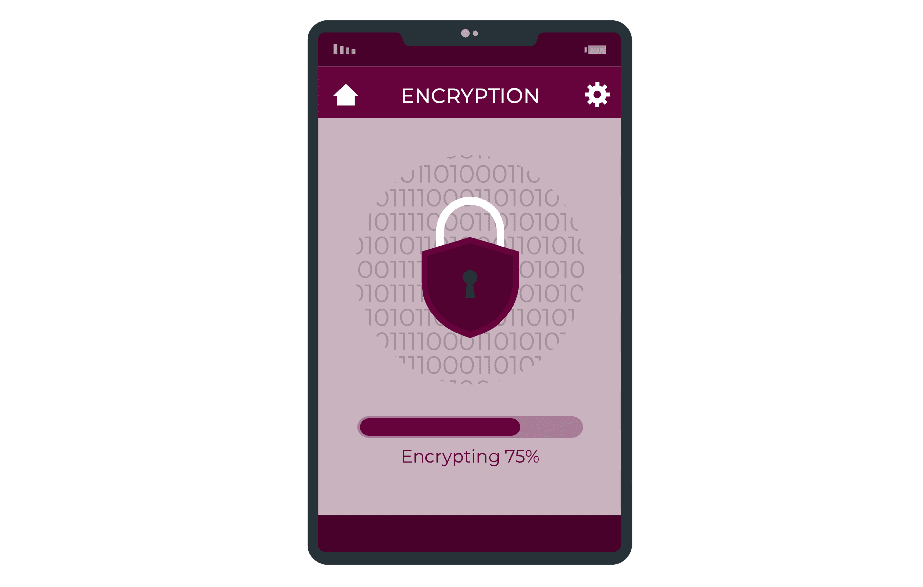 device encryption 